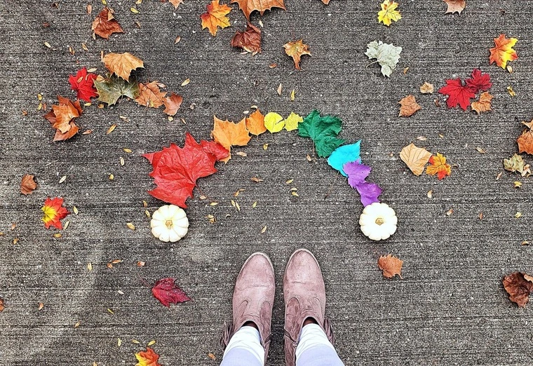 Colorful Leaves Surrounding Shoe on Ground