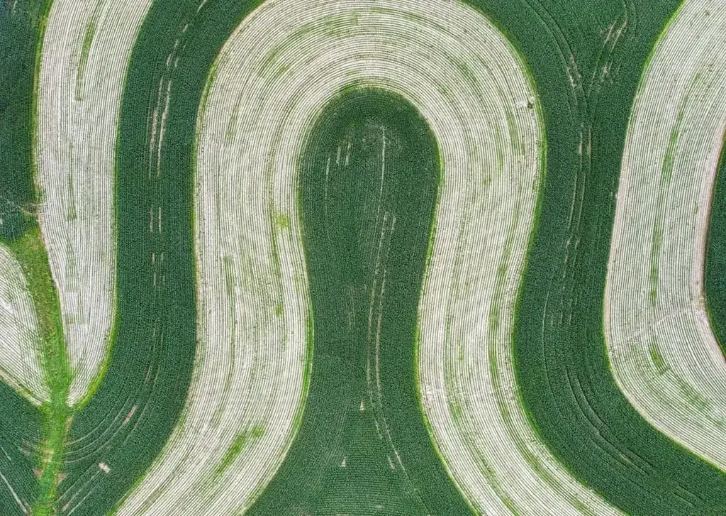 Unique Pattern of Gardens